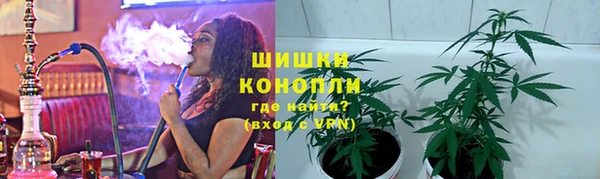 гидра Богданович