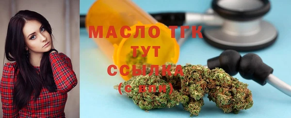 гидра Богданович
