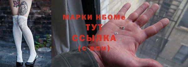 гидра Богданович