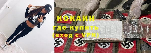 ПСИЛОЦИБИНОВЫЕ ГРИБЫ Аркадак
