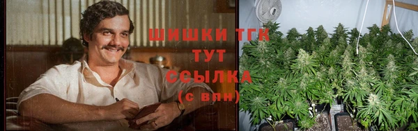 ПСИЛОЦИБИНОВЫЕ ГРИБЫ Аркадак