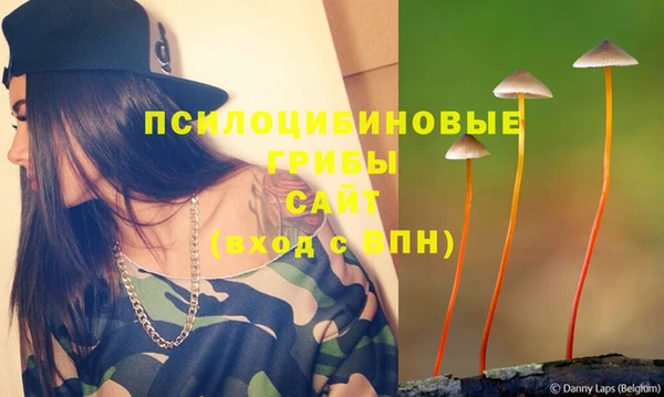 ПСИЛОЦИБИНОВЫЕ ГРИБЫ Аркадак