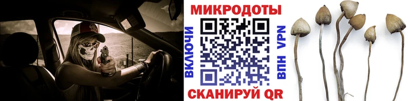 Псилоцибиновые грибы Psilocybe  Певек 